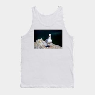 Sea Gull on Granville Island Tank Top